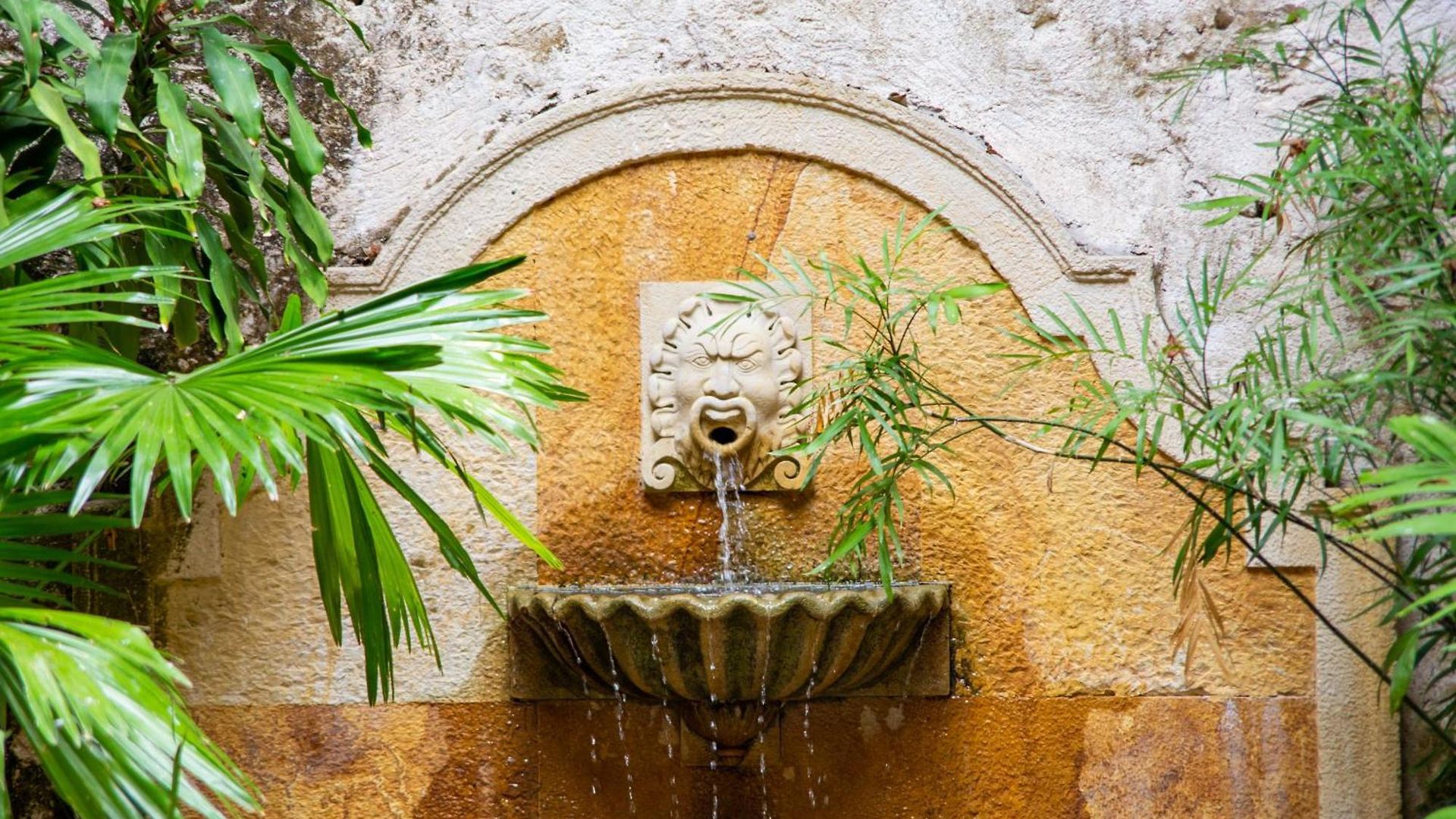 Casa Baloco *